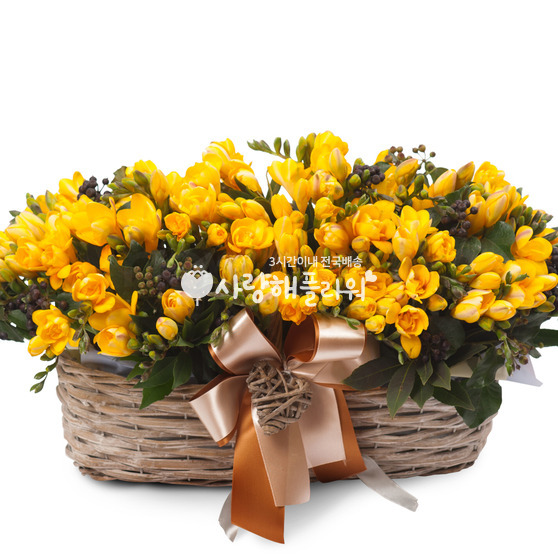 후리지아 정원(봄 한정상품)