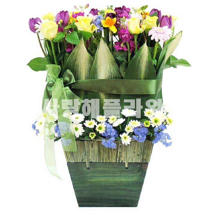 상세이미지