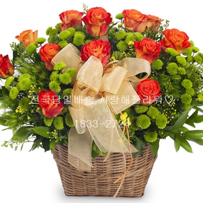 상세이미지