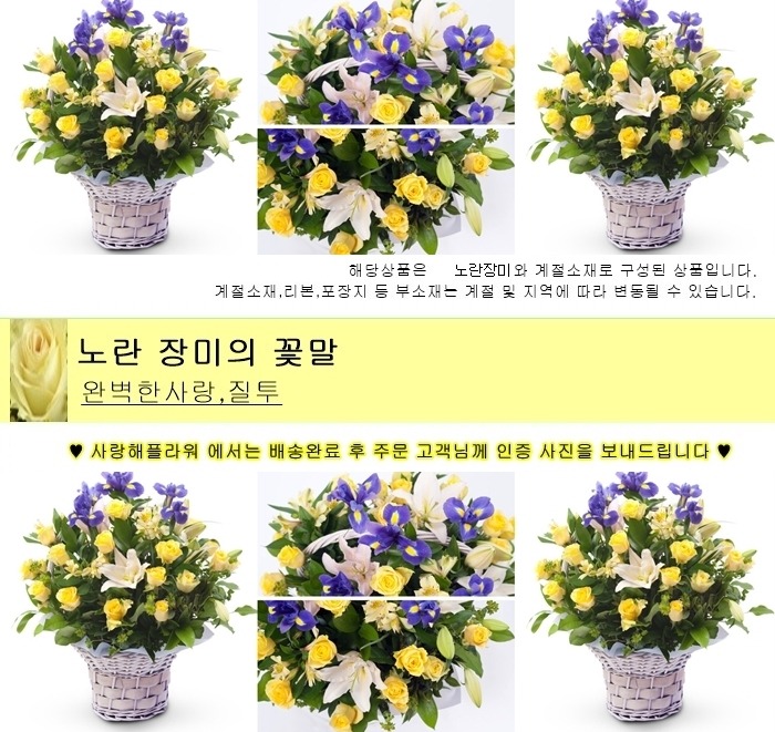 상세이미지