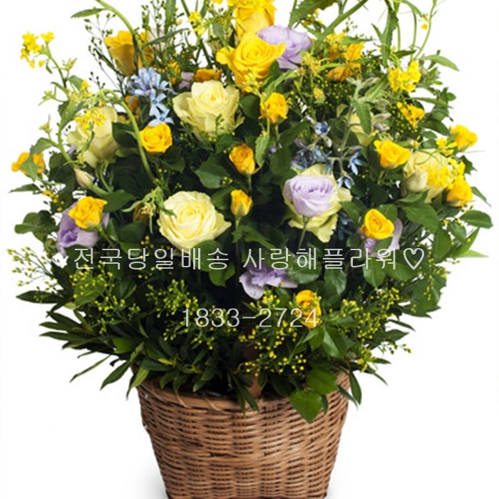 상세이미지