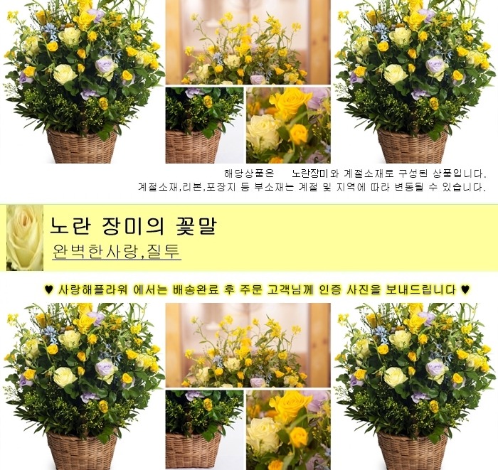 상세이미지