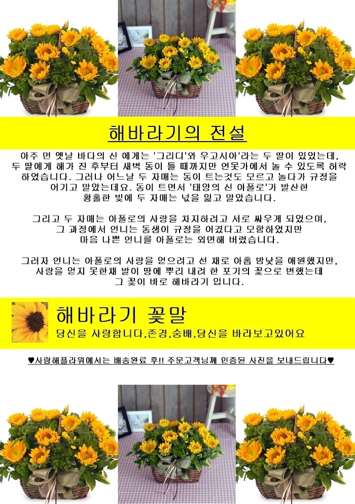 상세이미지