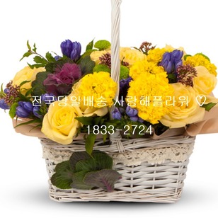 행복한노른자