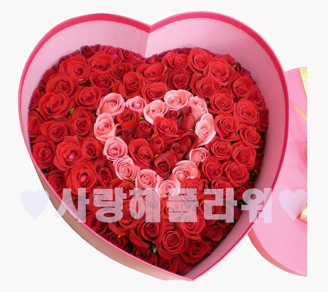 상세이미지