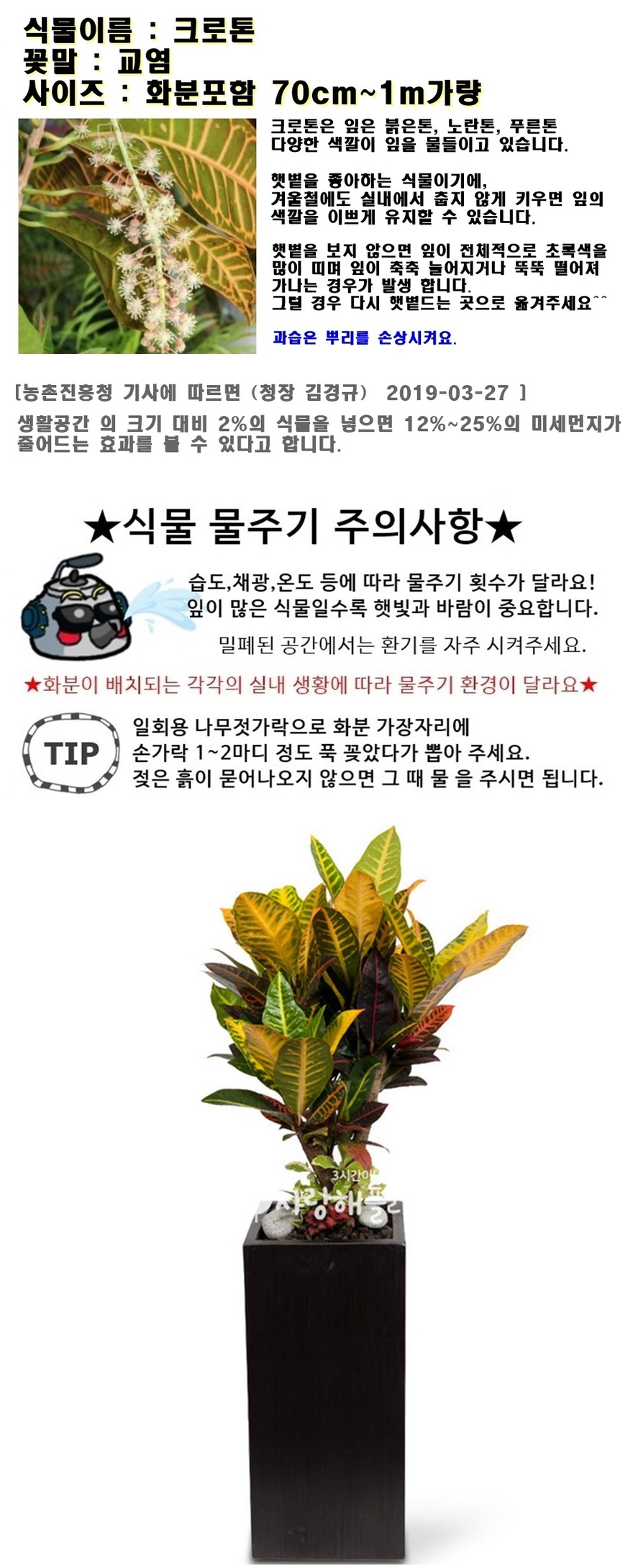 상세이미지