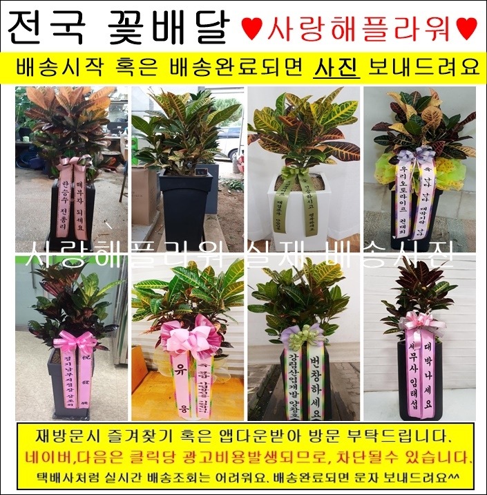 상세이미지