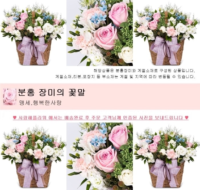 상세이미지