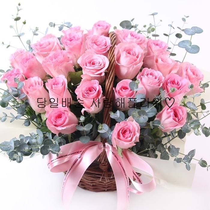 상세이미지