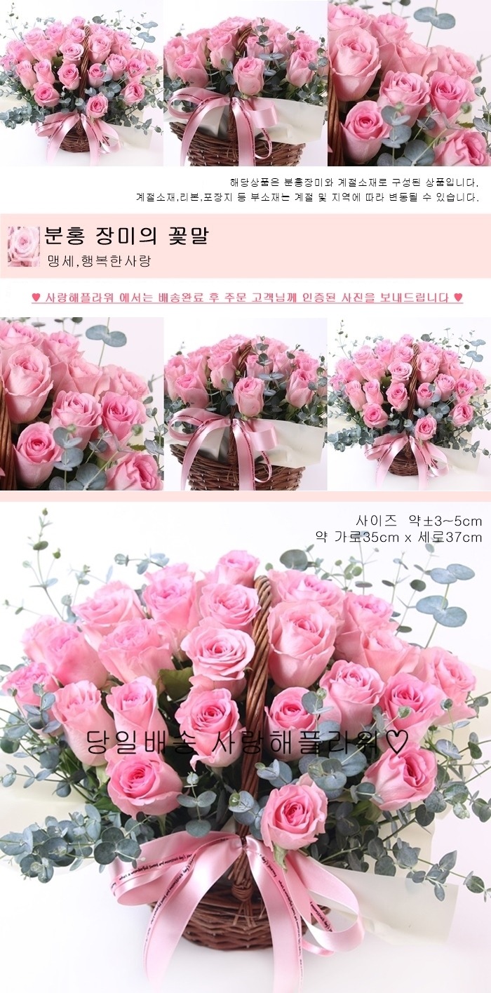 상세이미지