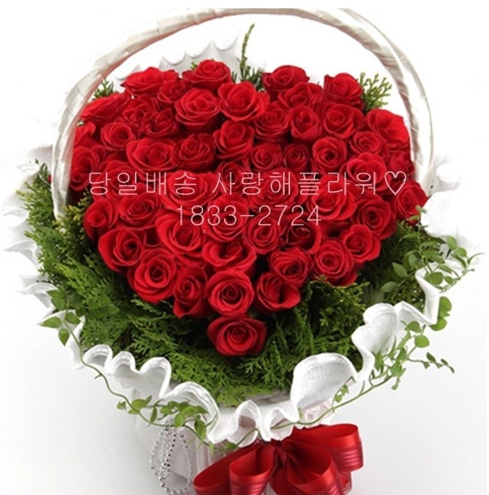 상세이미지