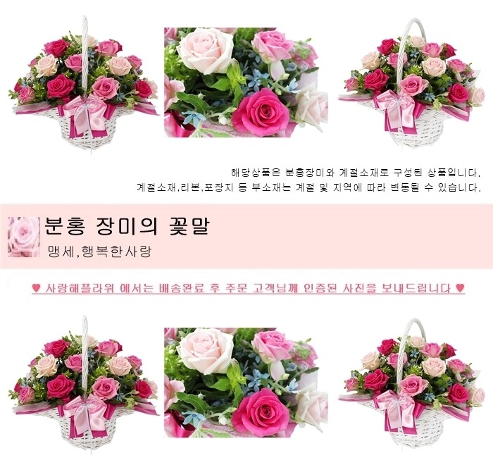 상세이미지