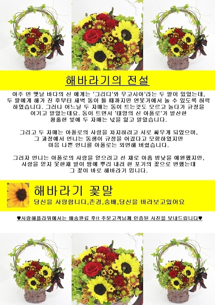 상세이미지