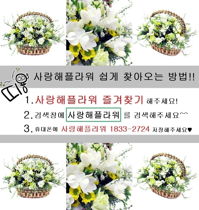 상세이미지