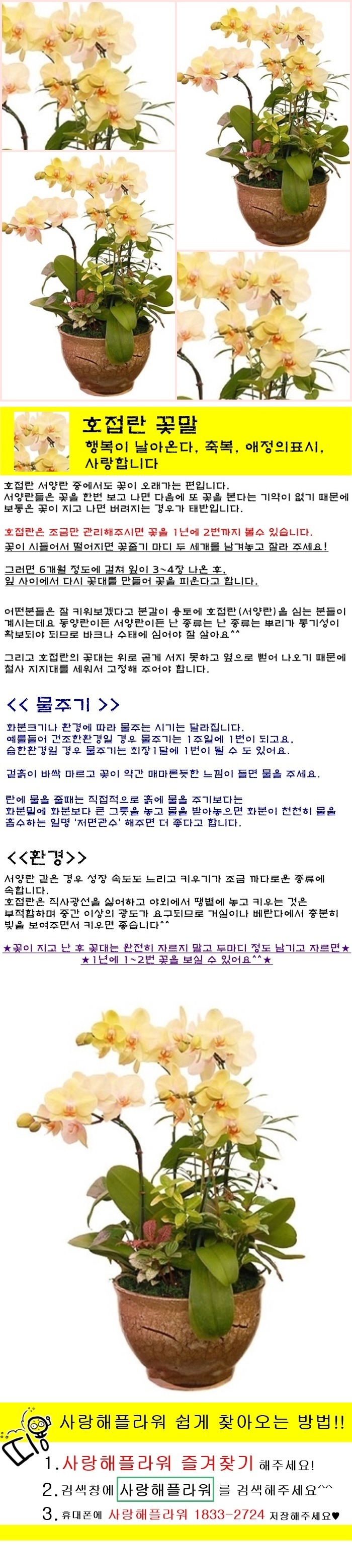 상세이미지