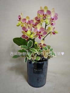 2.요리조리 만천홍