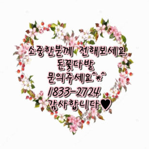 돈꽃다발 (20송이가량)