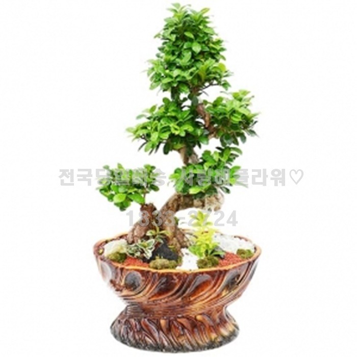 상세이미지