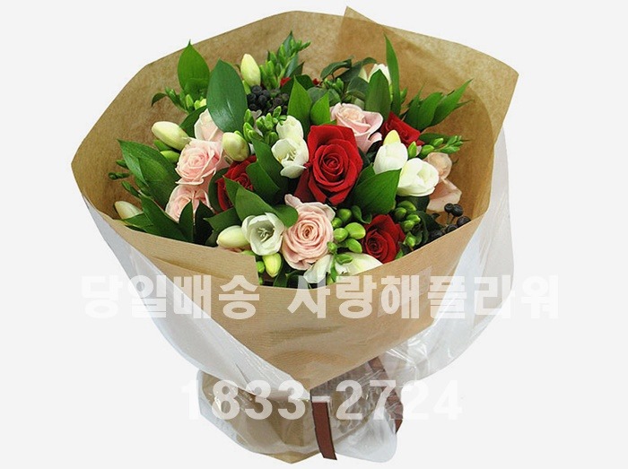 상세이미지