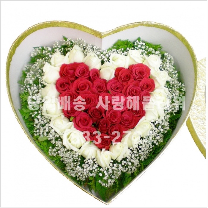 상세이미지