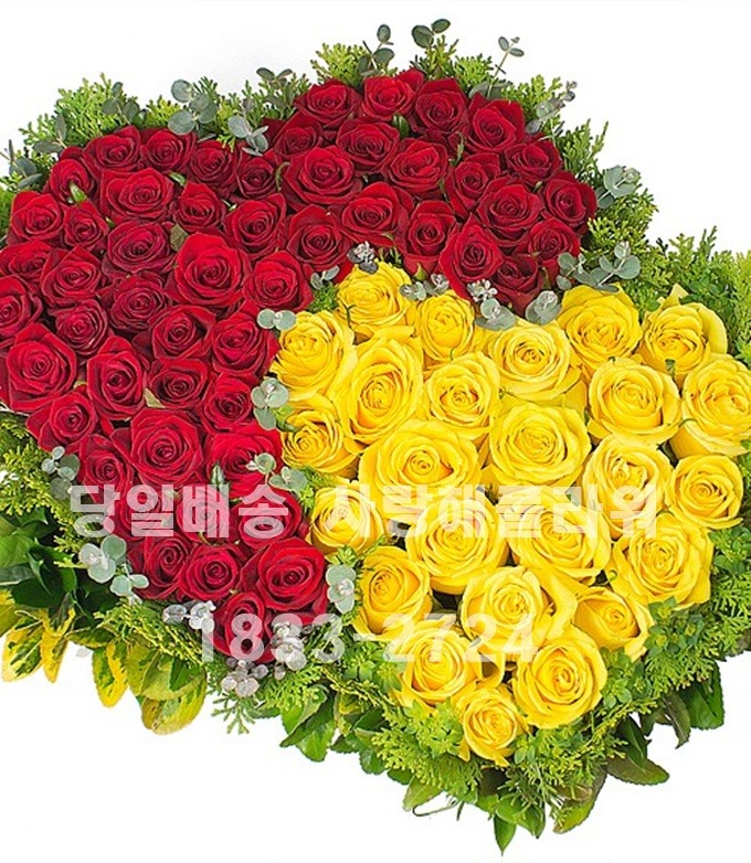 상세이미지