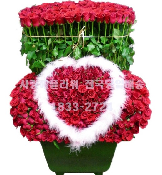 ★예약★주문제작 300송이 이상~