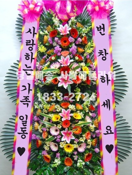 축하3단 VV