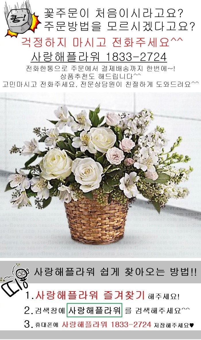 상세이미지