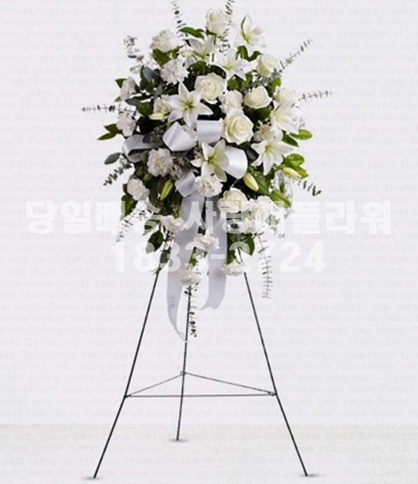 상세이미지