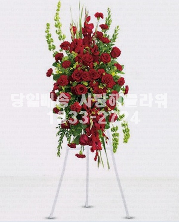 상세이미지