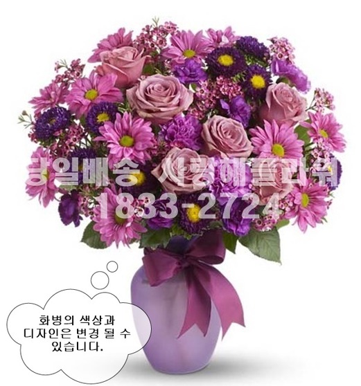 왕분홍 화병