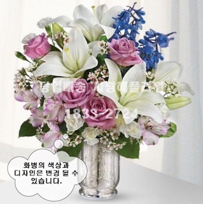 상세이미지