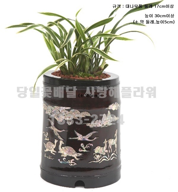상세이미지