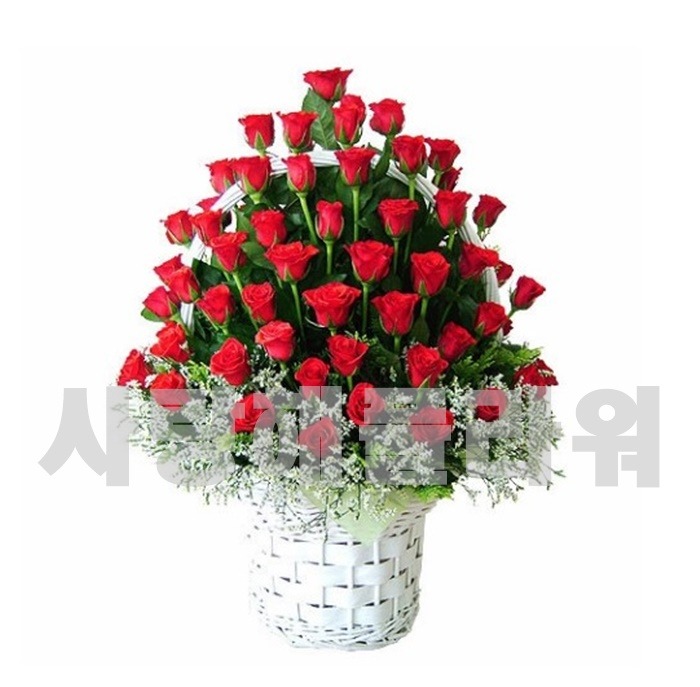 상세이미지
