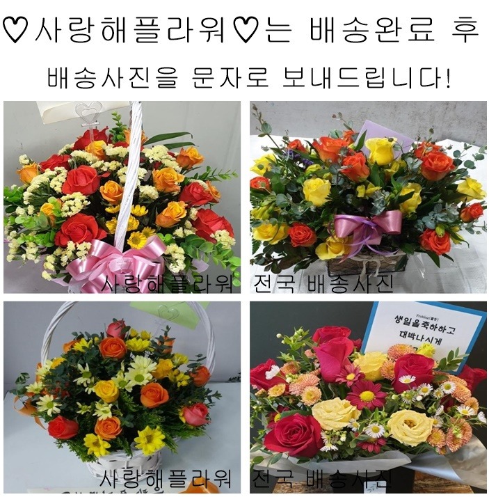 상세이미지