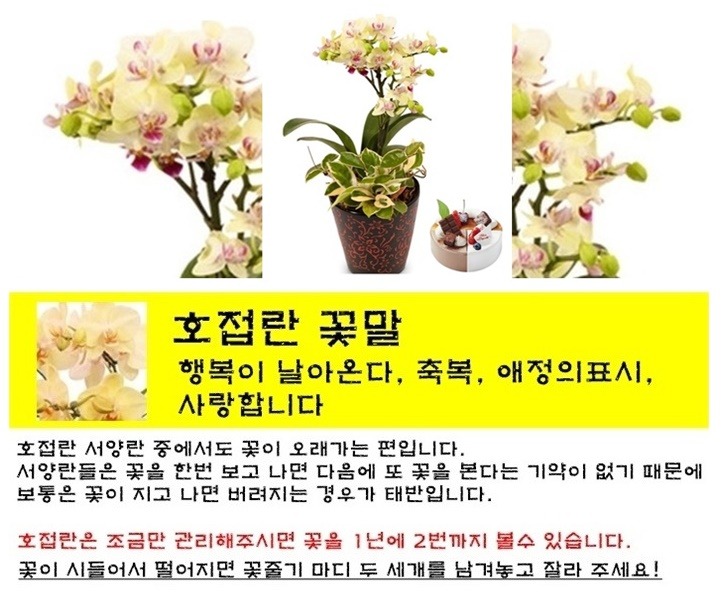 상세이미지