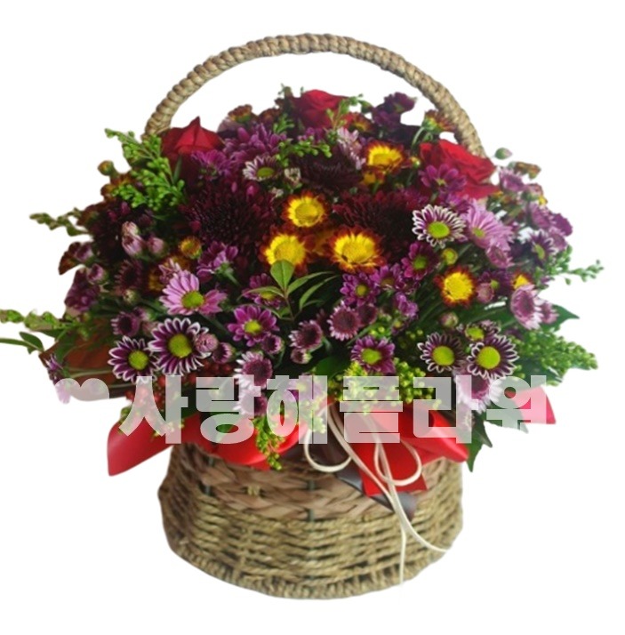 상세이미지