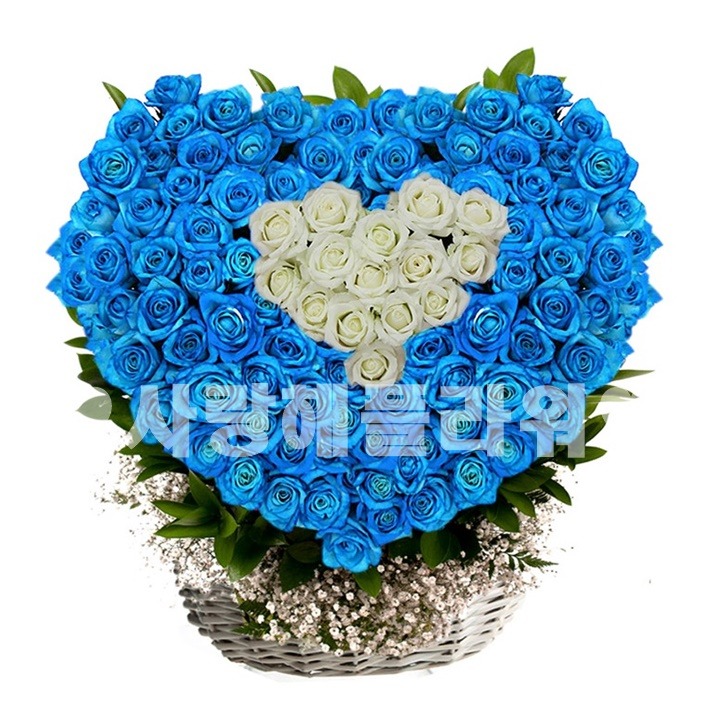 상세이미지