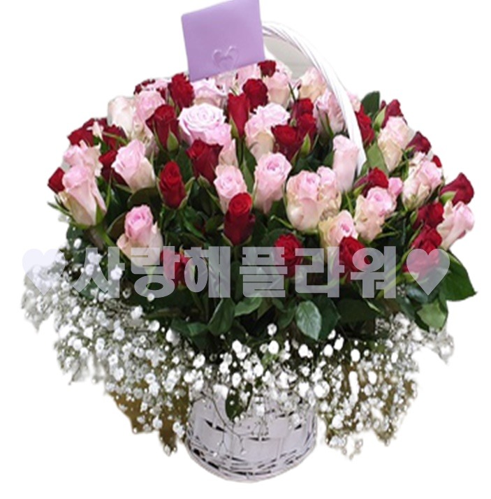 상세이미지