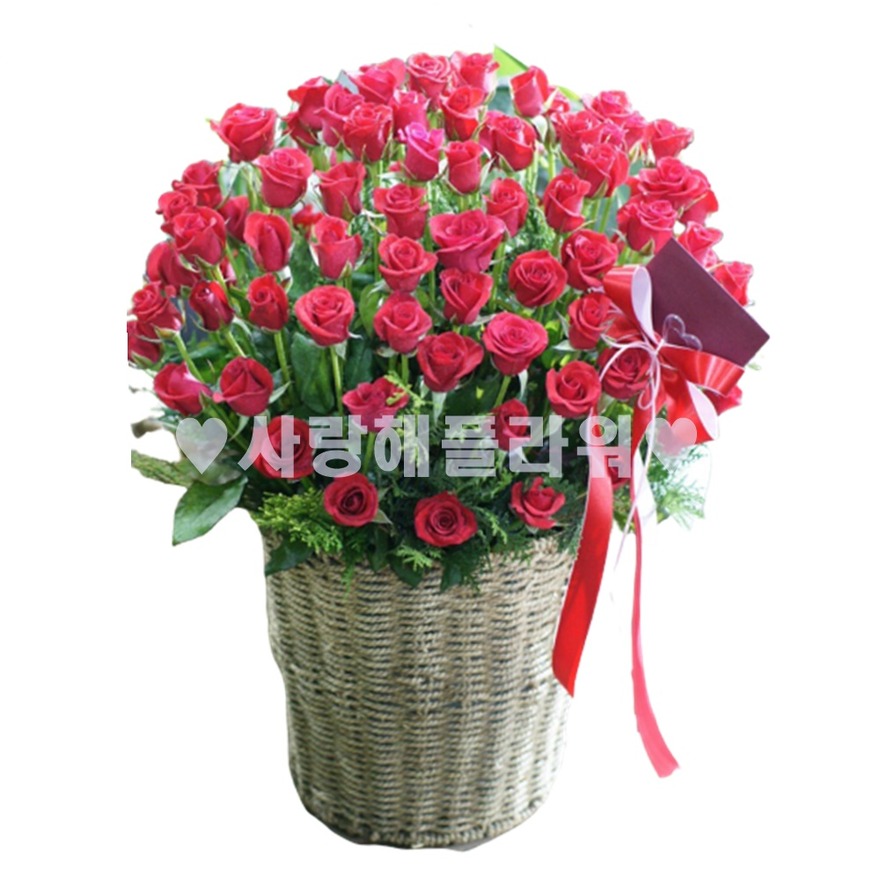 상세이미지