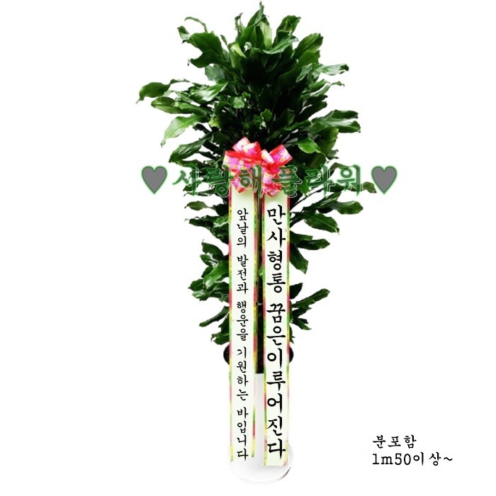 상세이미지
