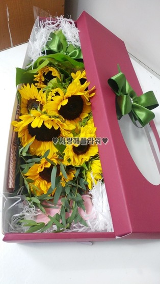 해바라기박스