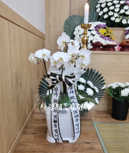 상세이미지
