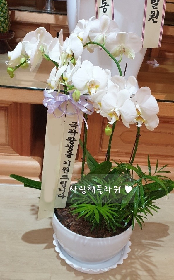 상세이미지